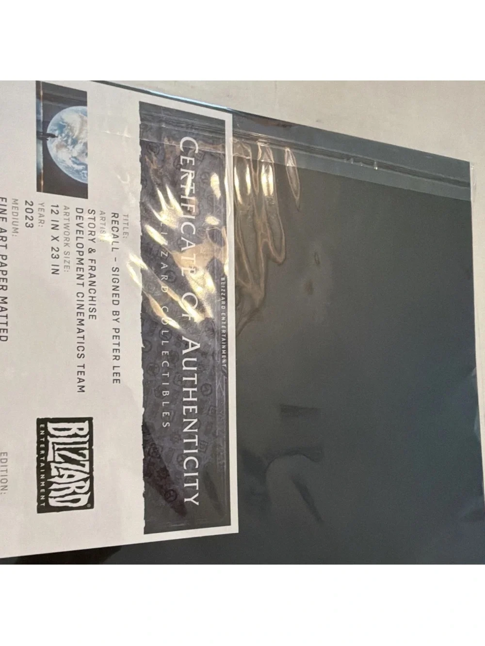 Blizzard Entertainment Overwatch 2 Signed Art Print Blizzard Collectibles 2023
